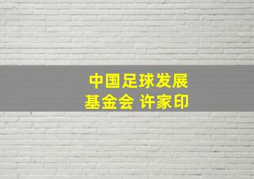 中国足球发展基金会 许家印